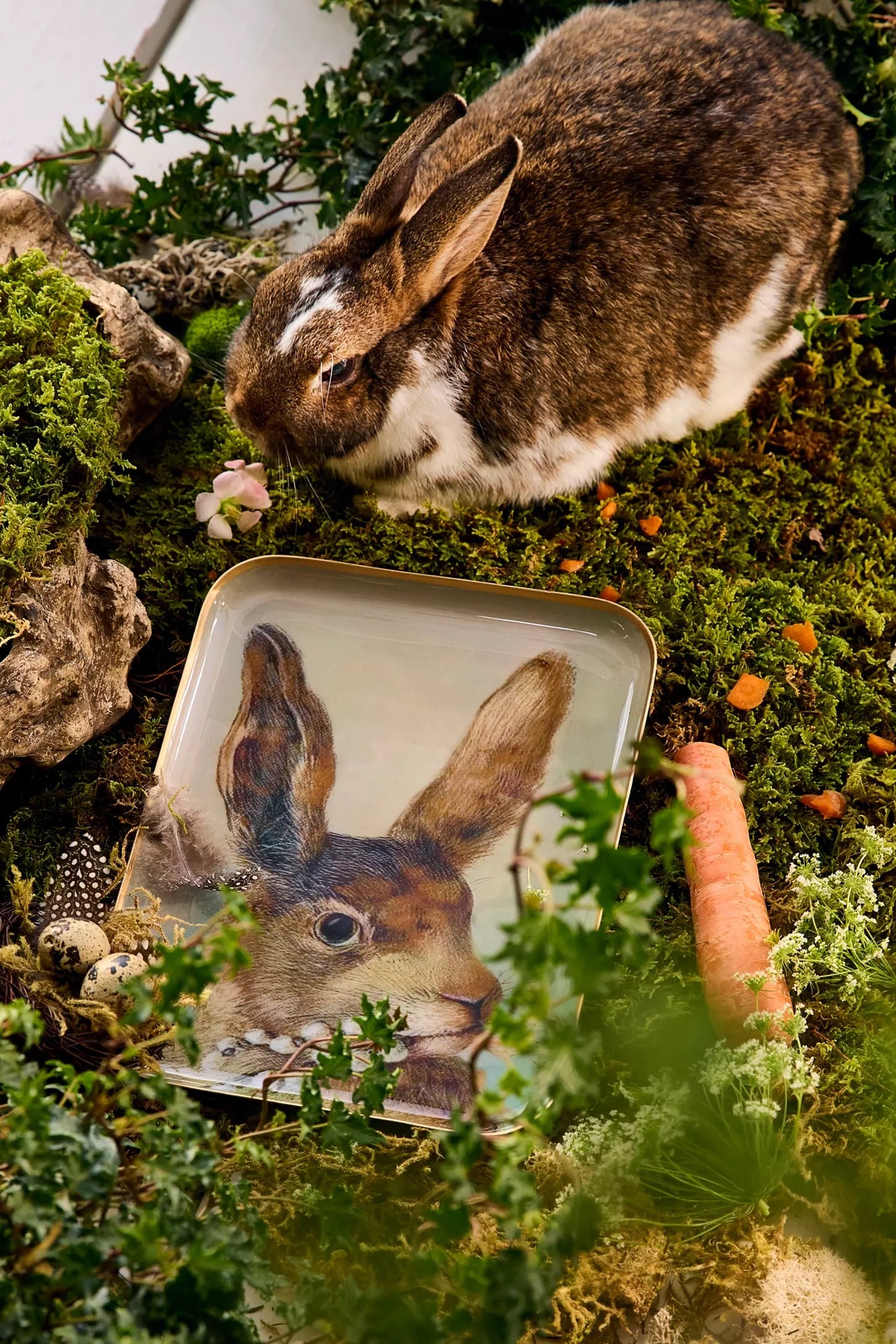 Ceramic Hare Trays