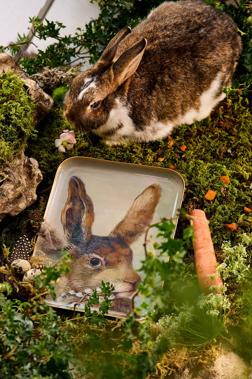 Ceramic Hare Trays